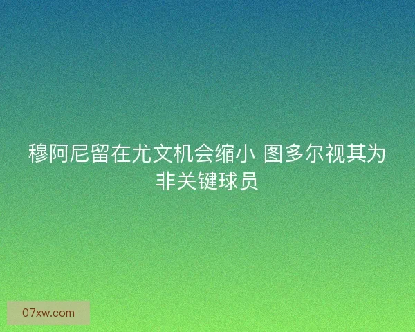 穆阿尼留在尤文机会缩小 图多尔视其为非关键球员